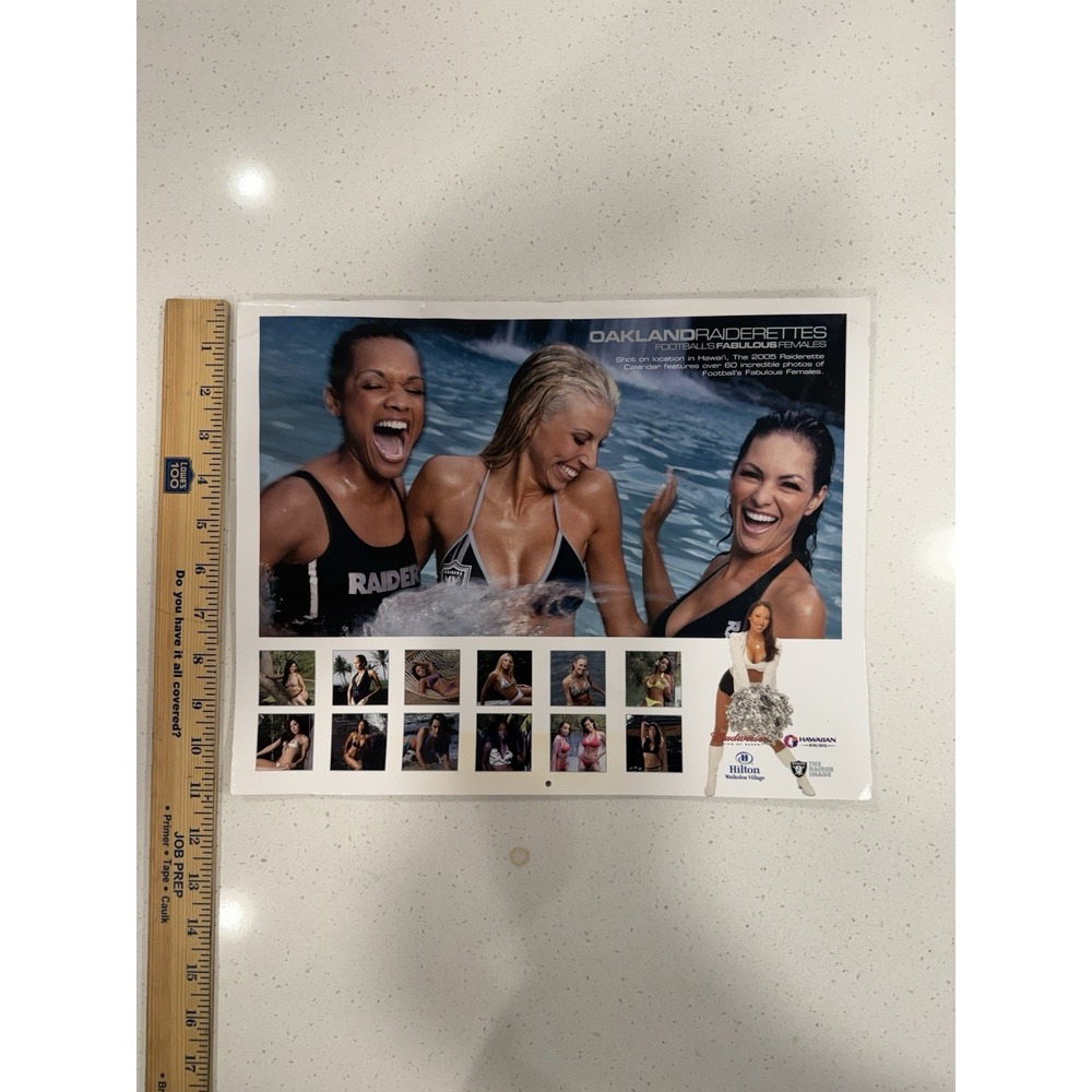 Vtg Oakland Raiders 2005 Raiderettes Swimsuit Calendar - Picture 2 of 5